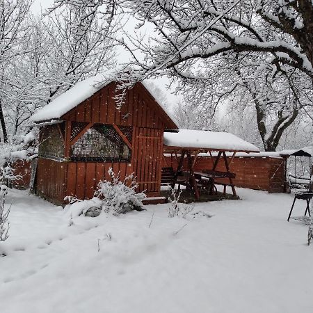 Hotel Приватна Садиба Яблуневий Сад 1 Jaremtsche Exterior foto