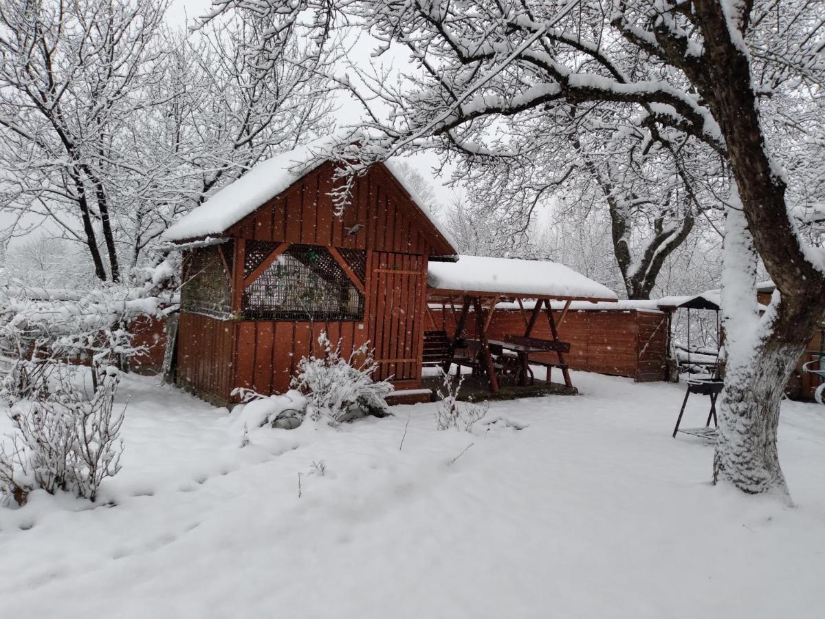 Hotel Приватна Садиба Яблуневий Сад 1 Jaremtsche Exterior foto